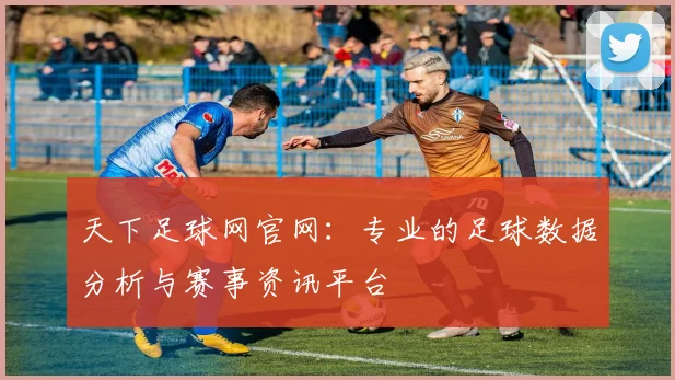 天下足球网官网：专业的足球数据分析与赛事资讯平台