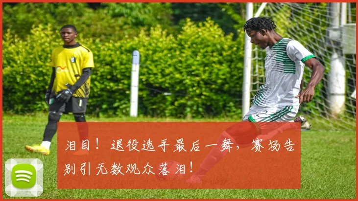 泪目!退役选手最后一舞,赛场告别引无数观众落泪!